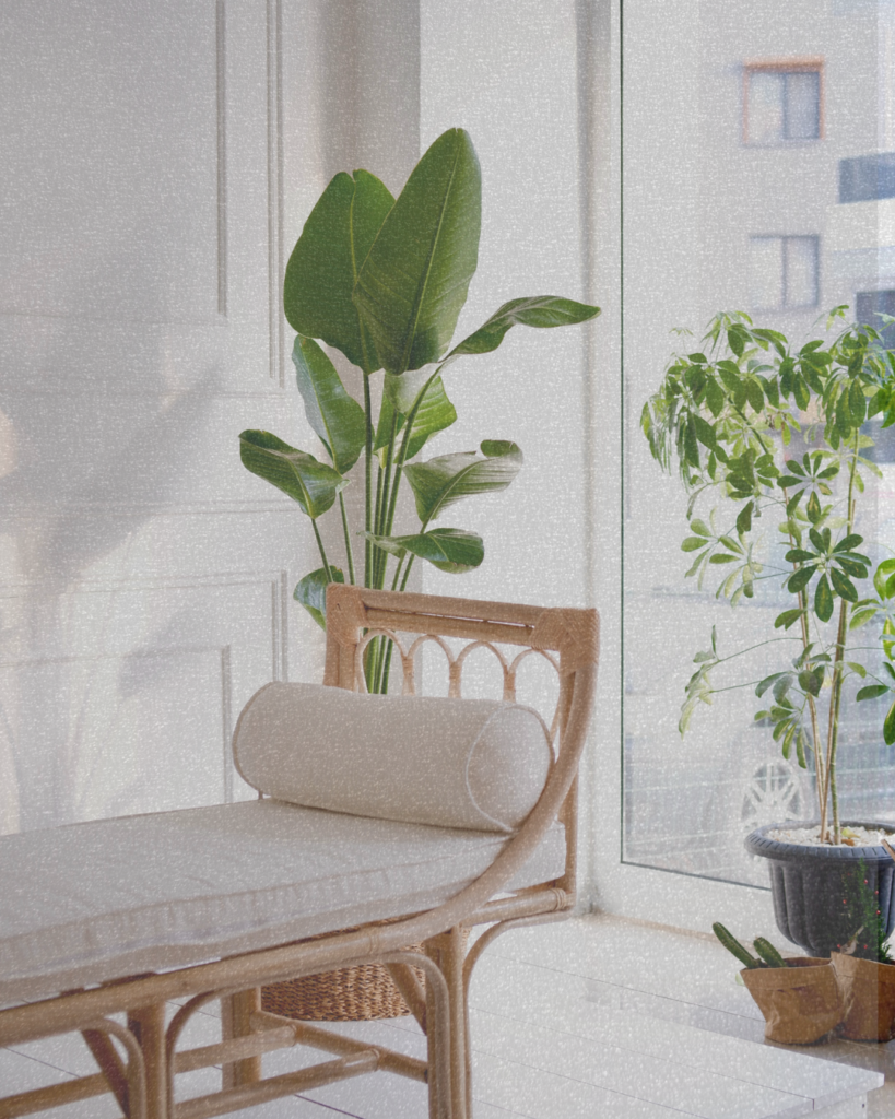 How to Grow Your Amazon Storefront Sales (Without Burning Out)